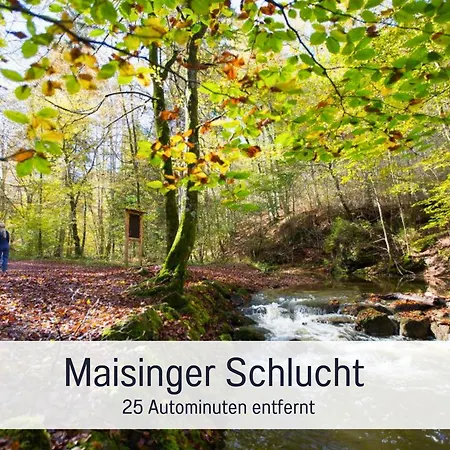 Mit Blick Ueber Lägenhet *
