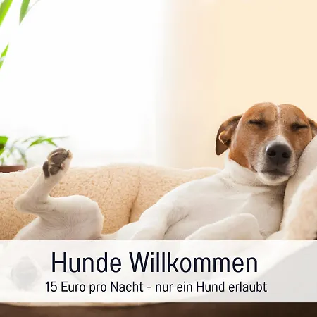 Lägenhet Mit Blick Ueber